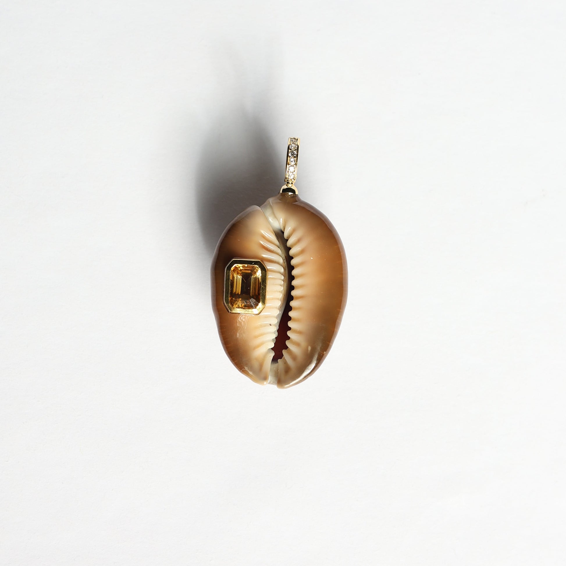 Cowrie with citrine gp