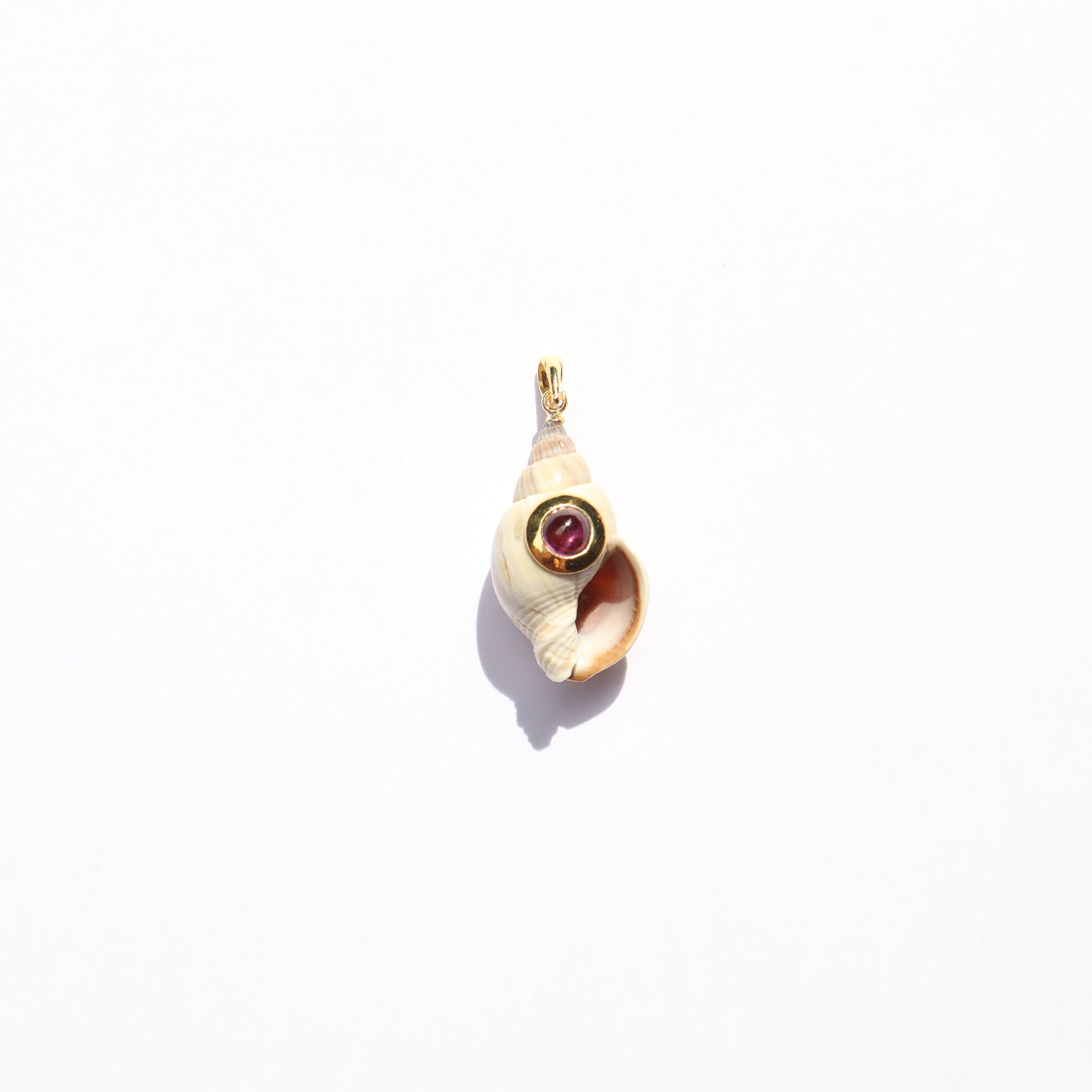 Small shell & rodolite GP