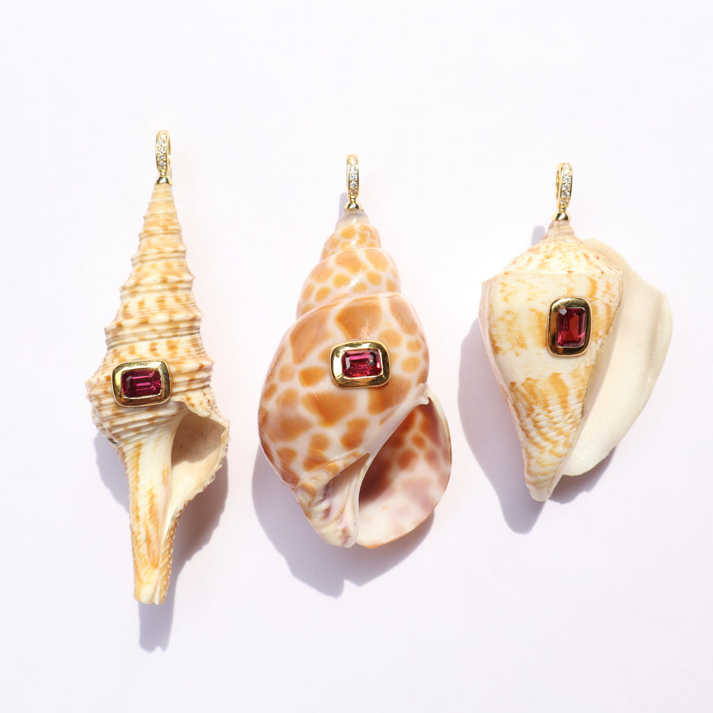 Shells garnet GP