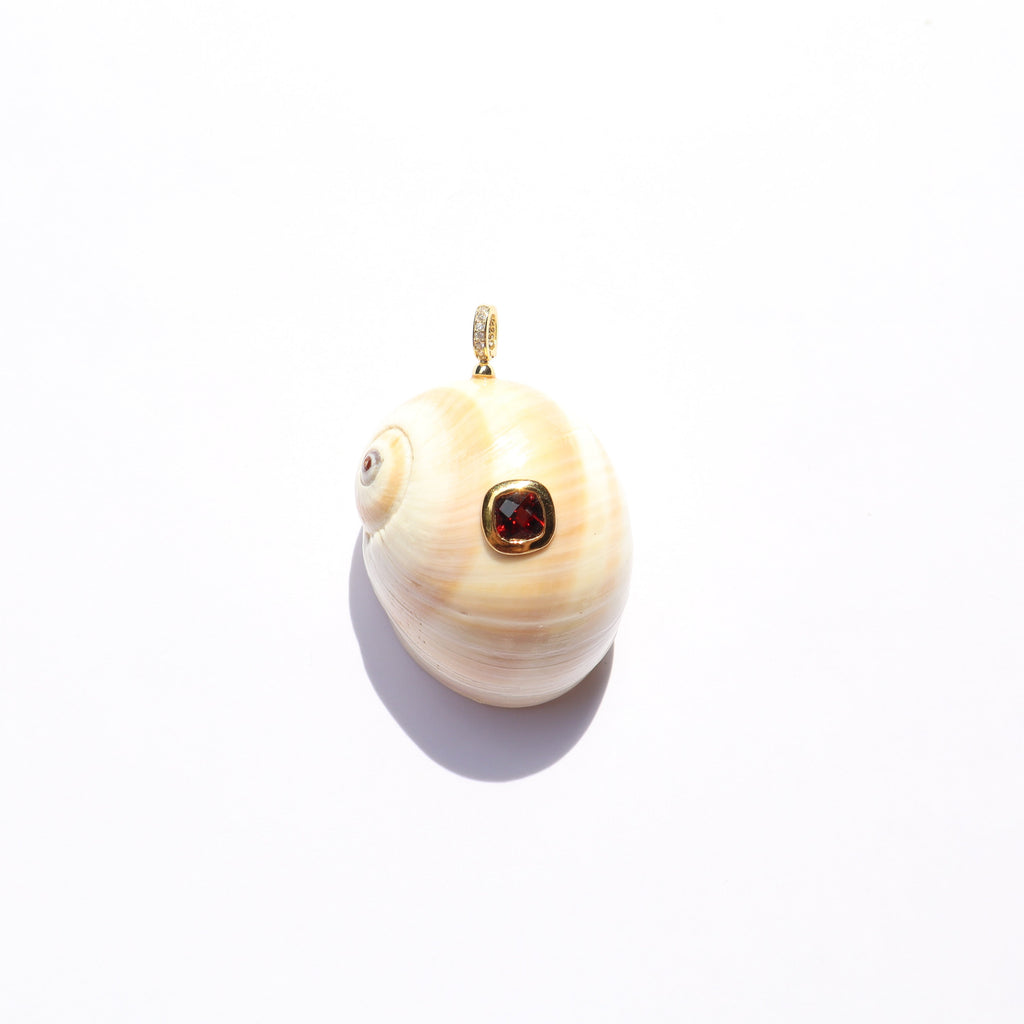 Shark Eye GP