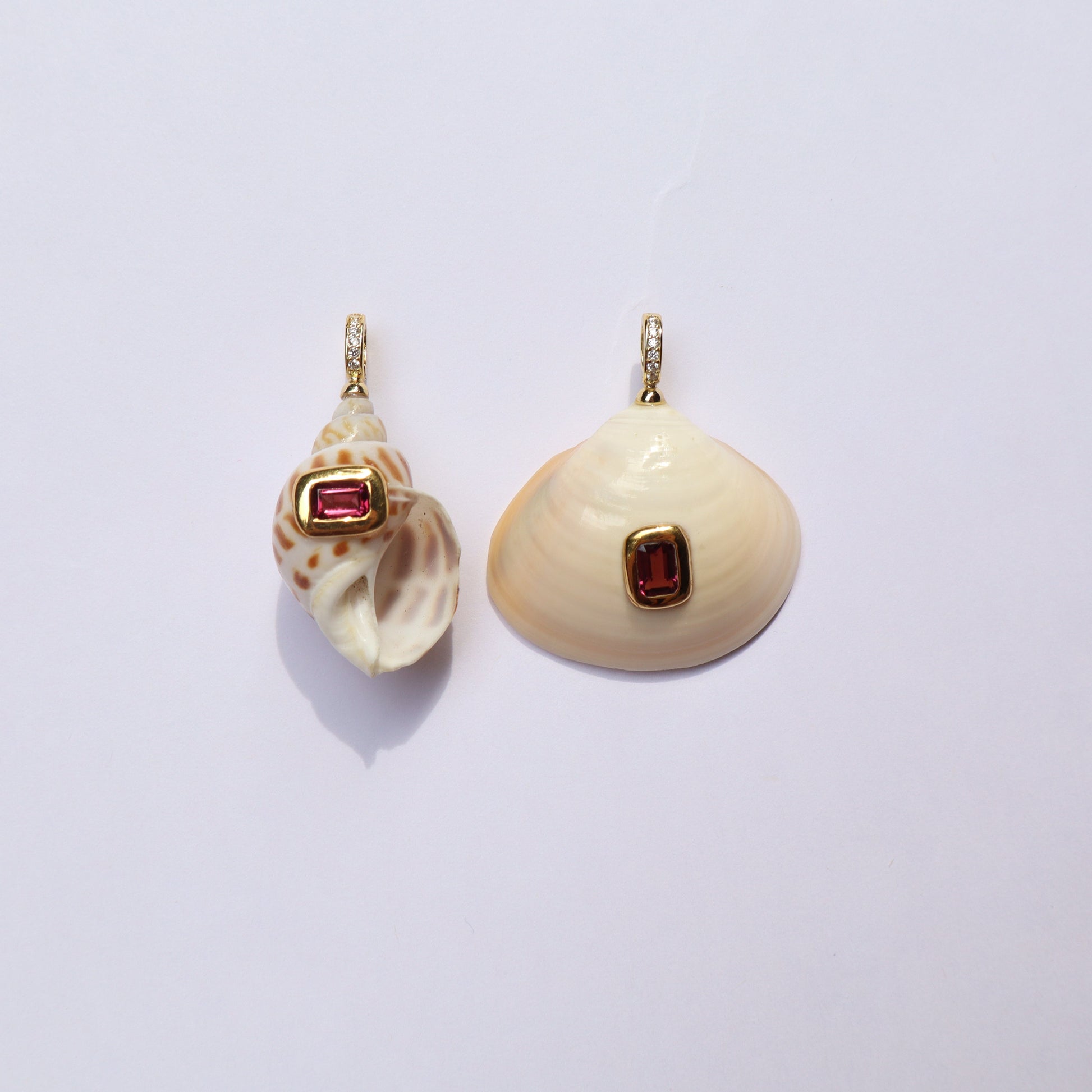 Shells garnet GP