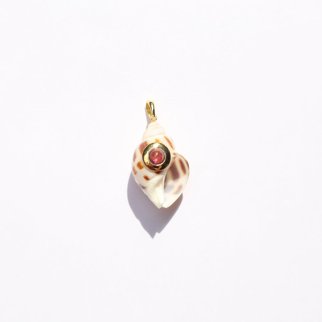 Shell rodolite GP
