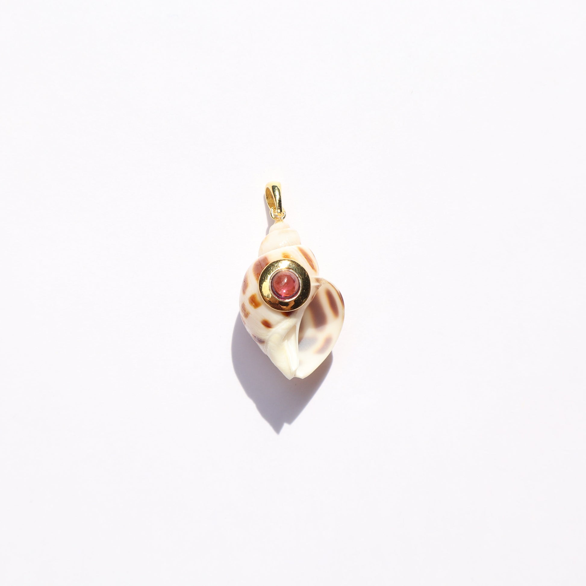 Shell rodolite GP
