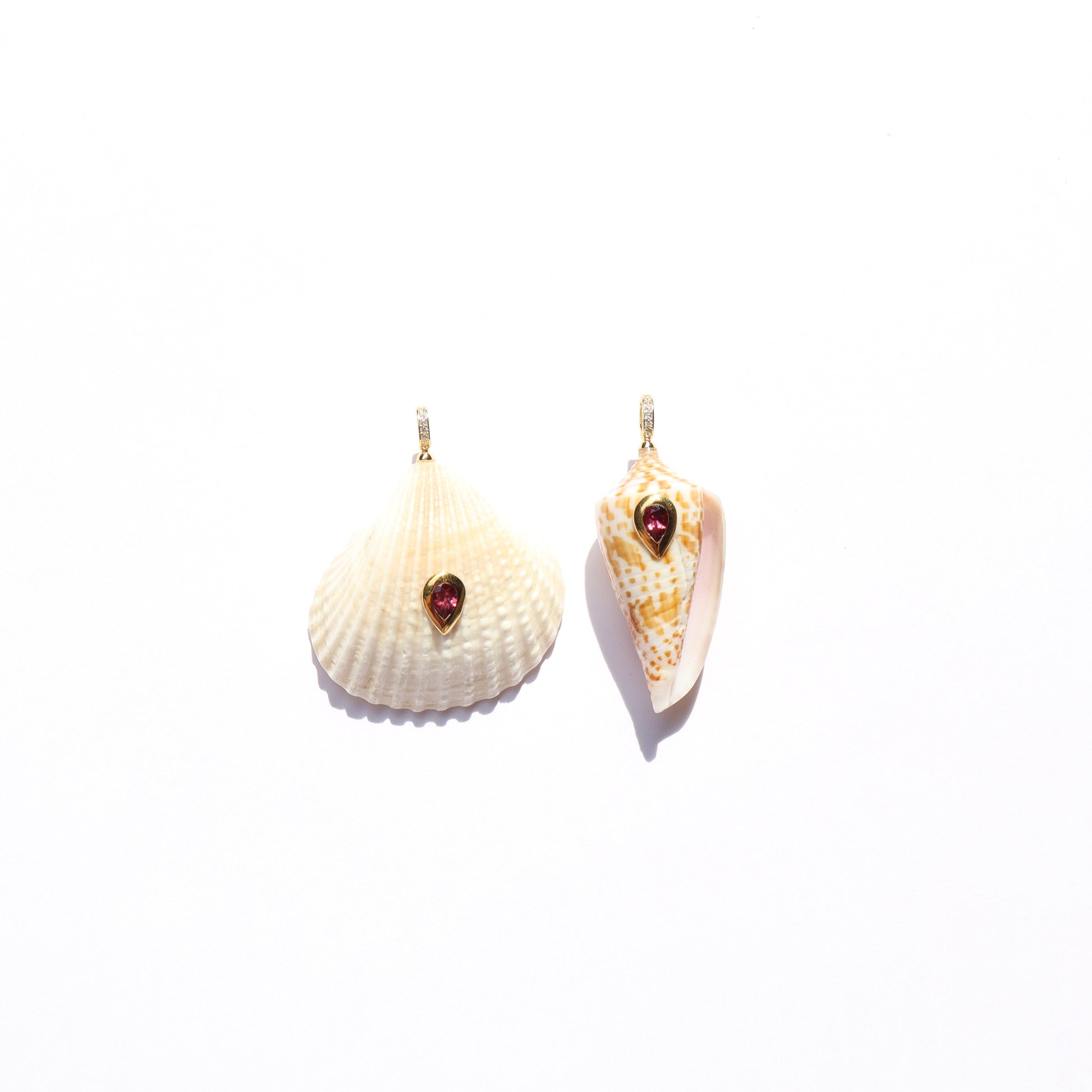 Shells with Drop GP
