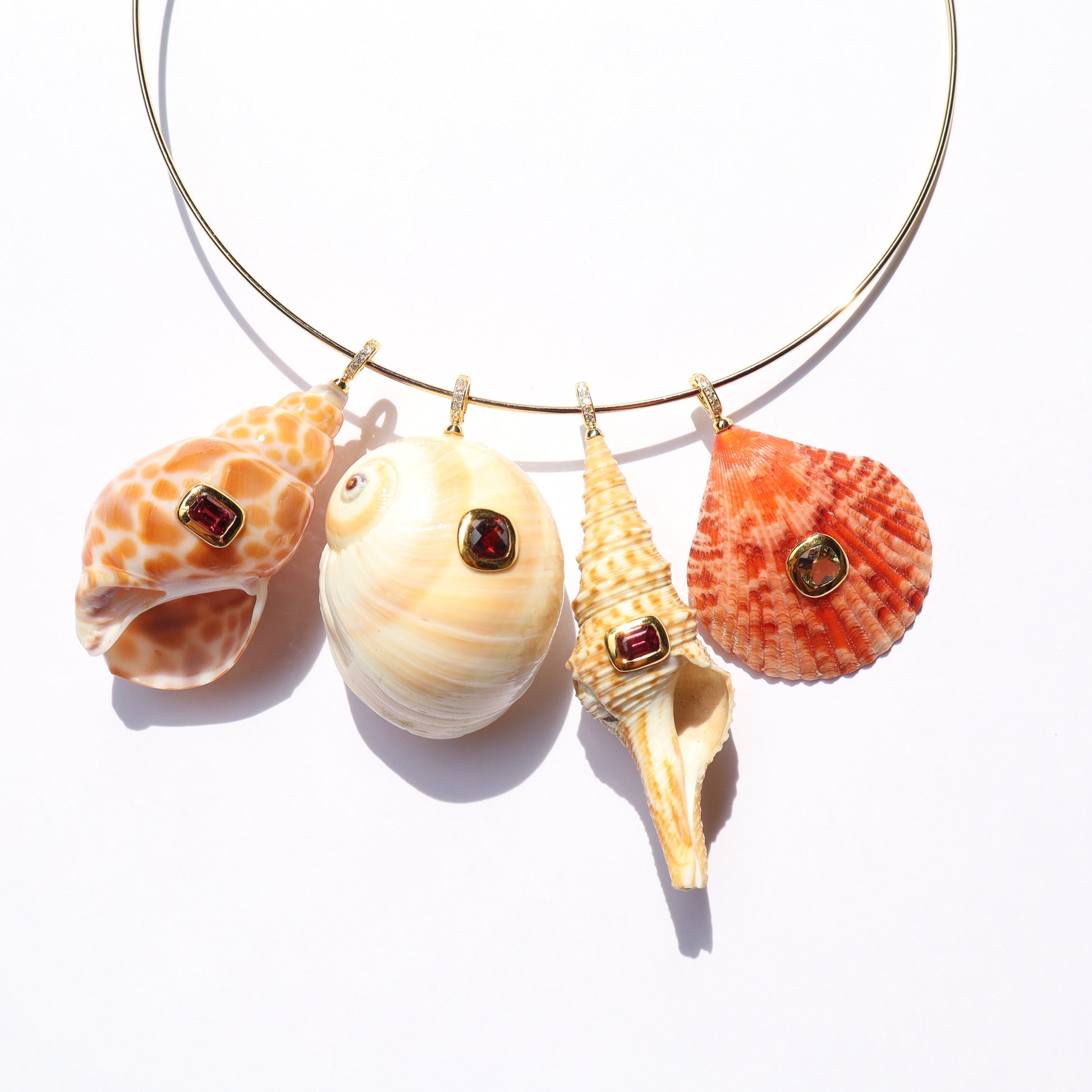Conch GP