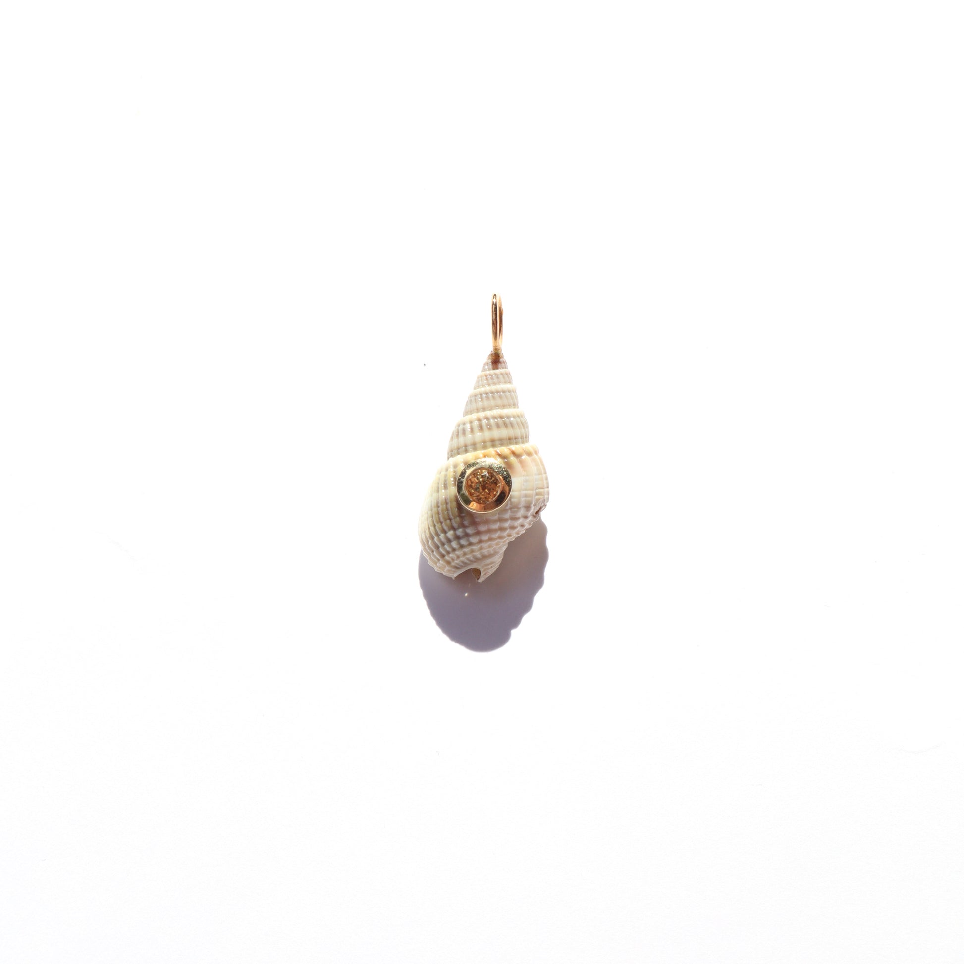 Shell & Sapphire