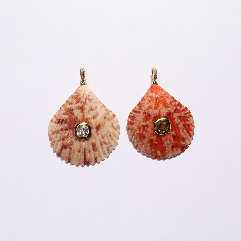Conch GP